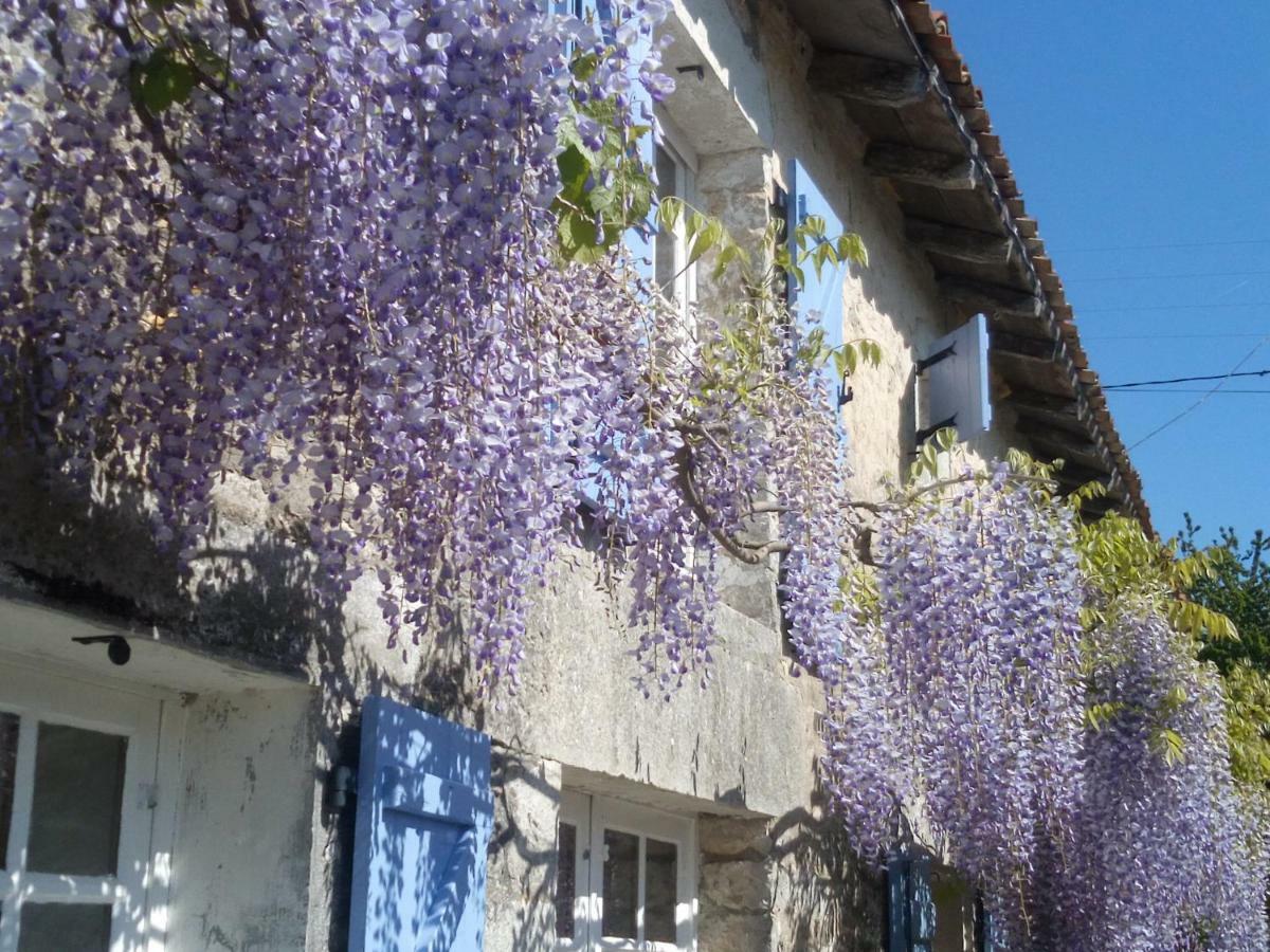 Chat Noir Gite Et Chambre D'Hotes Panzió Genouille  Kültér fotó